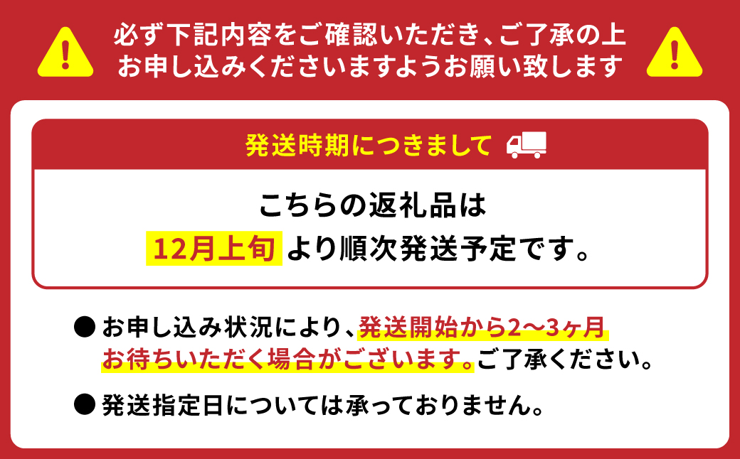 【先行予約】野菜ソムリエ岡田健志郎が育てた ミニトマト 1.2kg以上 トマト 野菜 熊本県産 新鮮 サラダ やさい とまと 八代市産 九州【2025年12月上旬より順次発送】