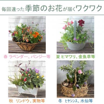 ふるさと納税 北上市 【毎月定期便】季節の寄せ植え　全6回 |  | 01