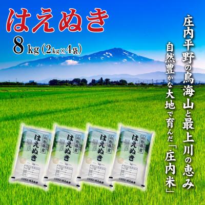ふるさと納税 酒田市 【令和7年産】山形県産はえぬき 8kg(2kg×4袋)精米