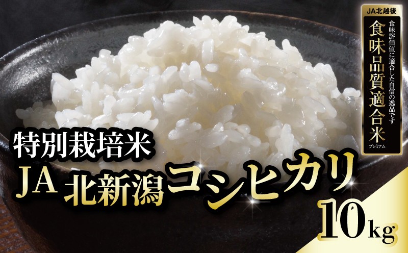 
                  令和7年産 JA北新潟コシヒカリ 10㎏ 特別栽培米 新潟 米 お米 こめ ごはん ブランド米 新潟産 コシヒカリ JA 北新潟農業協同組合 新潟県 新発田市 JA009
                