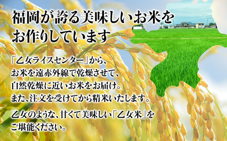令和6年産「乙女のお米」夢つくし　１０kg