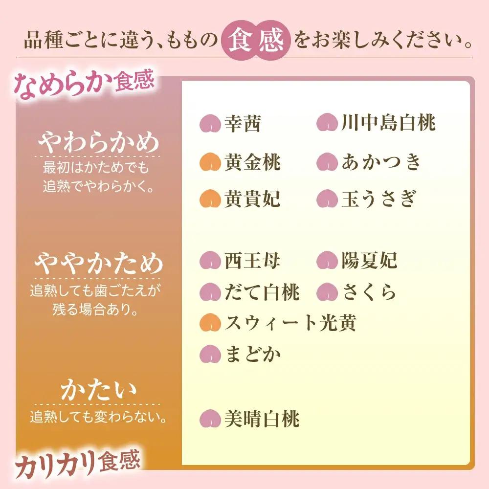 もも ( 8月 品種 おまかせ 白桃 ) 3kg フルーツ 果物 山形