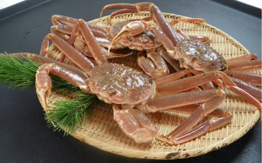 88．鳥取県産　訳あり活松葉がに　2～3枚で1.2ｋｇ以上（1～4本足落ち）