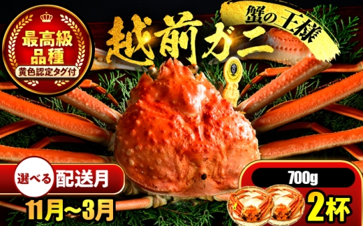 【年内配送】【先行予約】 【3月配送】 越前がに 700ｇ×2杯 小浜市 / まるほ商店 【配送不可地域：北海道・沖縄・離島】[BFCS022-3]