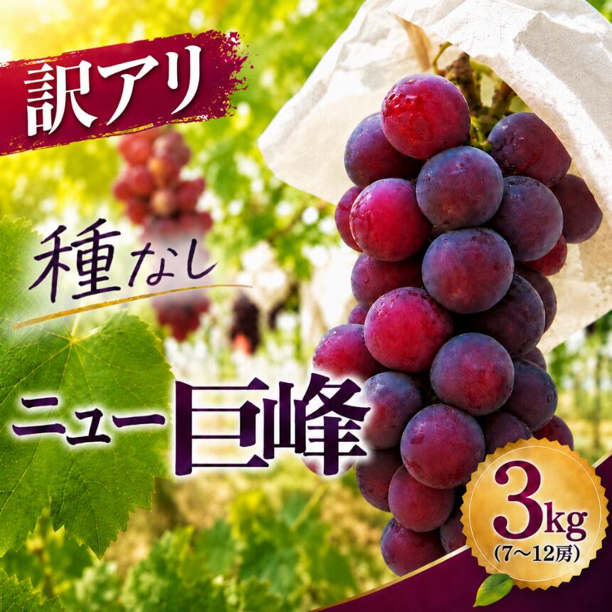 【ふるさと納税】 ニュー巨峰 ブドウ (訳あり) 約3kg (7～12房) | 種なし ブドウ ぶどう 葡萄果物 フルーツ くだもの 産地直送 甘い 大分県産 九州産 中津市 国産 送料無料【発送：2026年8月～9月頃までの予定】