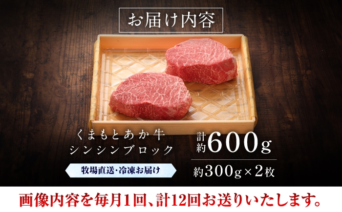 菊陽町 あかうし 熊本県 肉 にく niku ブランド 旨み くまもとあか牛 和牛 阿蘇 自然 自社牧場 直接 最高 定期便