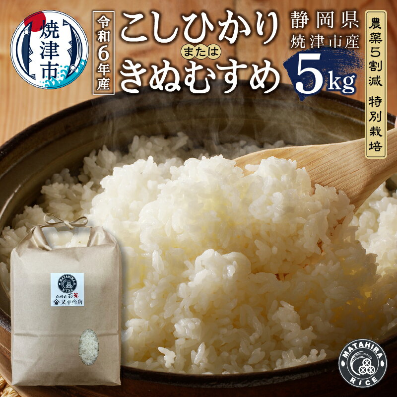 【ふるさと納税】 数量限定 米 白米 コシヒカリ/きぬむすめ 5kg 農薬5割減 特別栽培 安心 安全 こだわり 減農薬 ごはん 焼津 a22-056