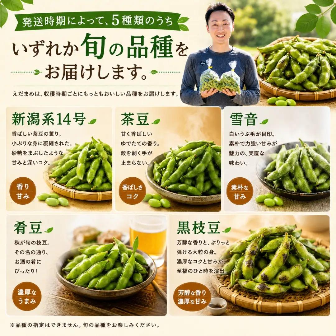 小千谷産枝豆 約1.8kg 農園つなり| 枝豆 品種おまかせ