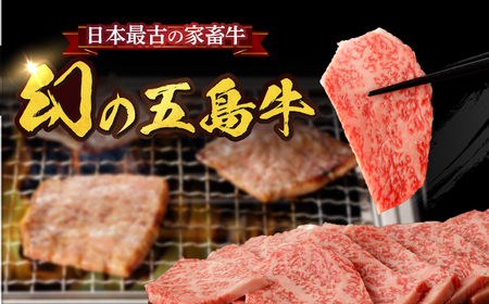 【幻の和牛！とろける肉汁がたまらない…！】五島牛 特選 カルビ 600g 3人前 牛肉 焼肉 牛 肉 お肉 国産 和牛 赤身【カミティバリュー】[RBP014]