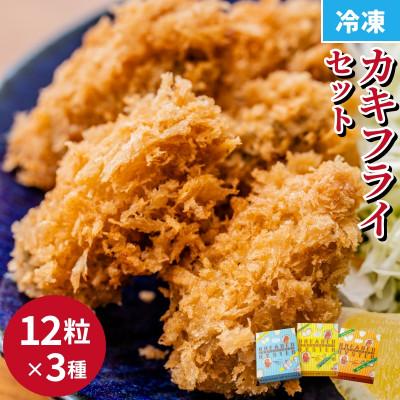 ふるさと納税 福山市 かきフライ3種食べ比べセット(プレーン・瀬戸内レモン・カレー)25g×12粒×3種