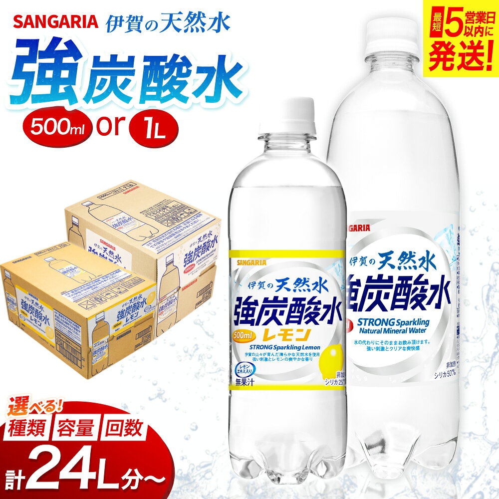 【ふるさと納税】 炭酸水 サンガリア 伊賀の天然水 強炭酸水 500ml 1000ml ＜ 選べる 味 容量 回数 ＞｜プレーン レモン 計24L ～ | 定期便有 /強い刺激とクリアな爽快感をお楽しみいただける「伊賀の天然水強炭酸水」をお届け！ 強炭酸 炭酸飲料 飲料 割り材 送料無料