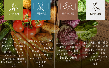 旬の野菜セット 6ヶ月の定期便　【 野菜 】