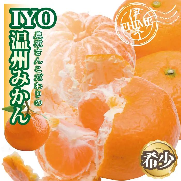 【2026年先行予約】みかん 愛媛 早生みかん 約4kg 【2026年12月上旬より順次発送予定】人気 数量限定 柑橘 伊予市｜B173