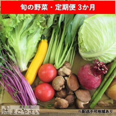 ふるさと納税 安芸高田市 旬の野菜・定期便(3か月)[No5895-0456]