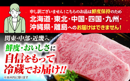 飛騨牛サーロインステーキ(240g×2枚)【配送不可地域：離島・北海道・沖縄県・東北・中国・四国・九州】【1049545】