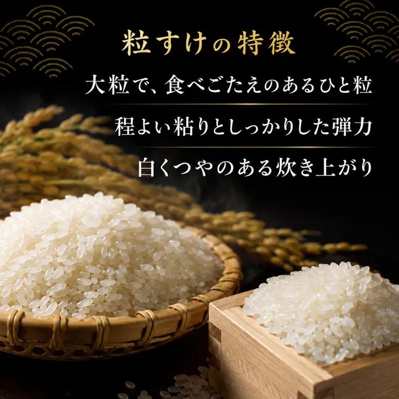 無洗米 令和7年 粒すけ 10kg ブランド米 無洗米