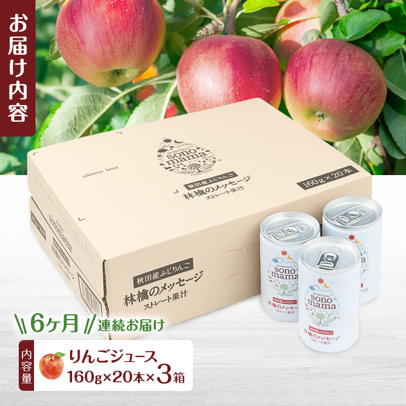 《 定期便 6ヵ月 》 りんごジュース「sonomama」（160g×20本）×3箱 りんご リンゴ ジュース リンゴジュース 飲料