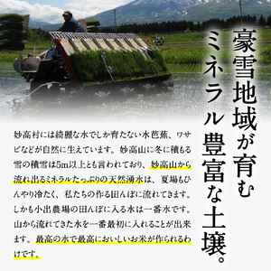 【2026年6月下旬発送】令和7年産 新潟県妙高産つきあかり5kg 白米 精米 お取り寄せ 5キロ 新潟 妙高市 小出農場