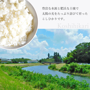 令和7年度 はが野米 こしひかり 5kg 