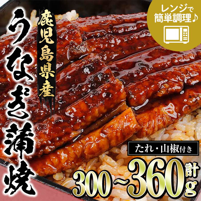【ふるさと納税】＜容量を選べる！＞《レンジ対応》鹿児島県産うなぎ蒲焼(300g・60g×5/360g・90g×4) 国産 国産魚 九州産 鹿児島県産 魚 魚介 鰻 うなぎ ウナギ unagi 蒲焼 蒲焼き たれ たれ付 さんしょう 簡単調理【エーエフ企画】