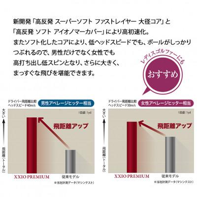 ふるさと納税 丹波市 ゴルフボール　XXIOプレミアム　ロイヤルボルドー　3ダース |  | 02