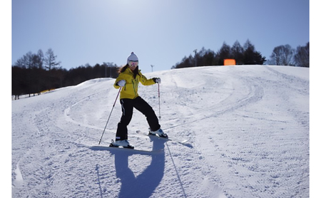【VECTOR GLIDE】スキー板(ビンディング付) NANO 130cm スキー ウィンタースポーツ スポーツ 日本製 長野