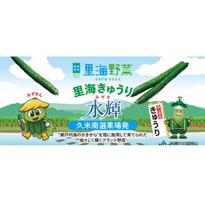 ふるさと納税 久米南町 久米南町産　里海きゅうり 約3kg |  | 01