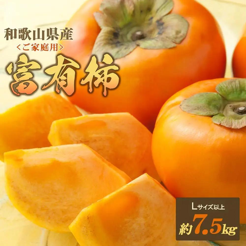 ◆先行予約◆和歌山県産 富有柿＜ご家庭用＞約7.5kg 満杯詰め【2026年11月上旬以降発送】【九度山町産】【MG2】柿