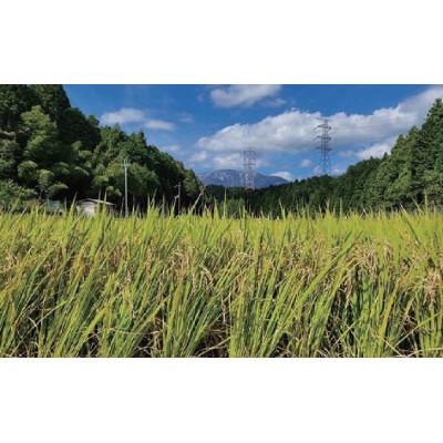 ふるさと納税 関ケ原町 関ケ原町中挟地区限定米 コシヒカリ 精米 10kg |  | 02