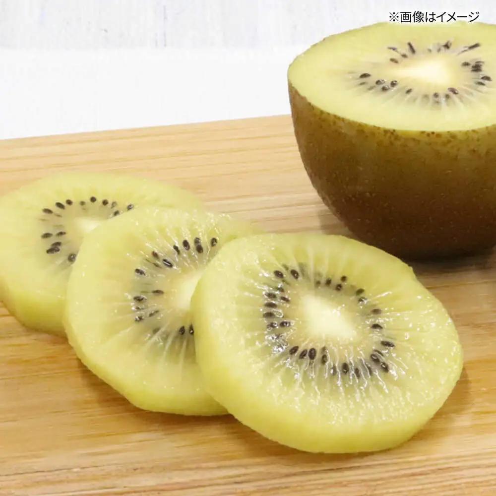福岡限定品種キウイ「甘うぃ」約1.3kg-約1.5kg／2026年11月頃より発送予定 桂川町/一般社団法人地域商社ふるさぽ[ADCF013]