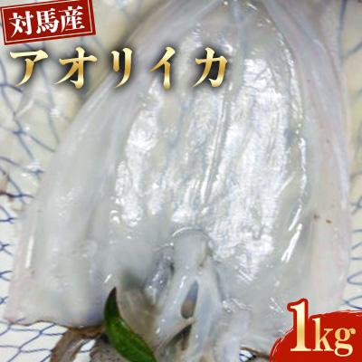 ふるさと納税 対馬市 対馬産アオリイカ1kg