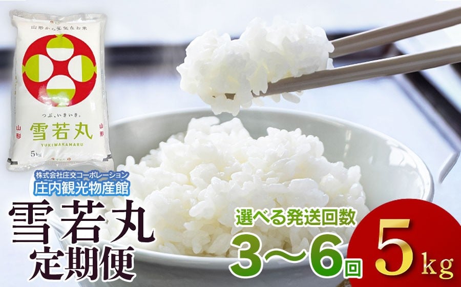 
            【3～6ヶ月から選べる定期便】令和7年産　雪若丸 精米 5kg(5kg×1袋）　庄内観光物産館
          