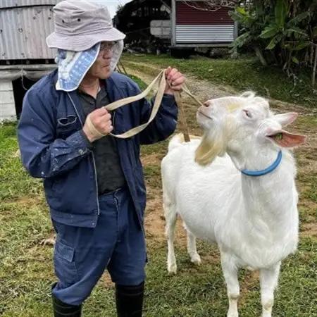 今帰仁生まれの「美らヤギ」刺し身2パック 山羊汁2パック【配送不可地域：離島】【1504567】