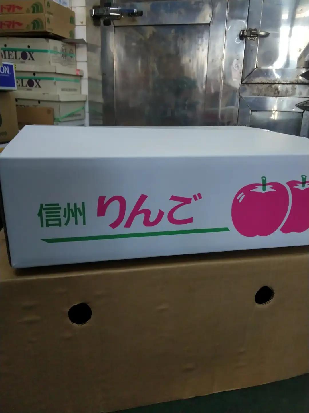 【2026年先行予約】千曲市産 サンふじ りんご 約5kg （13~16玉）|りんご