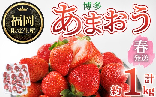 ＜先行予約受付中！2027年2月上旬以降に順次発送予定＞博多あまおう・春 (計約1kg) いちご 苺 フルーツ 果物 くだもの 福岡限定 家庭用 冷蔵＜離島配送不可＞【ksg1740】【農産物直売所ほたるの里】