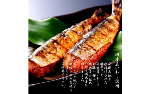 【博多漁師の里】福岡名物！いわし明太子２０尾（５尾×４パック）化粧箱入り 国産真いわし使用 化粧箱入り　国産真いわし使用 鰯 イワシ 旬 魚 めんたいこ ご飯のお供 おつまみ おかず 冷凍 真空パック