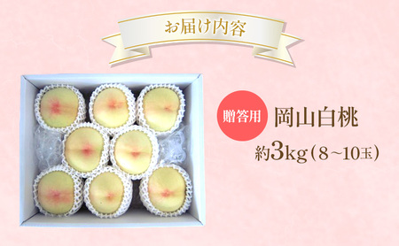 白桃贈答用 岡山県産 白桃【約3kg8～10玉】【先行受付】