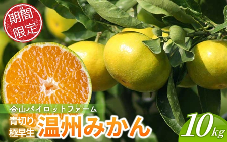 みかん 金山パイロットファームの 温州みかん 10㎏ 極早生(青切り)  みかん みかん みかん みかん みかん【knpr0013】