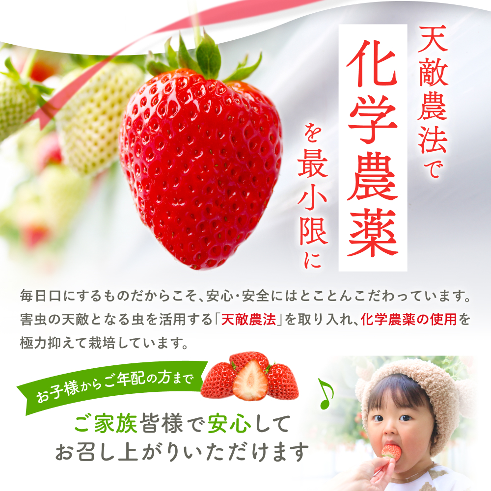 1月~3月発送　葛城市産古都華4パック【ichi0002】