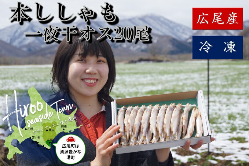 【ふるさと納税】本ししゃも一夜干し特大オス20尾