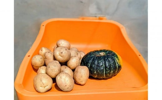 Suage直営農園　新じゃが3kg＆かぼちゃ1玉