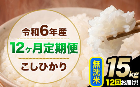 【12ヶ月定期便】新米 令和7年産 定期便 こしひかり 無洗米 定期便 15kg 精米 熊本県産(南阿蘇村産含む)  南阿蘇村《申込み翌月から発送》｜人気米 熊本県産米  生活応援米 