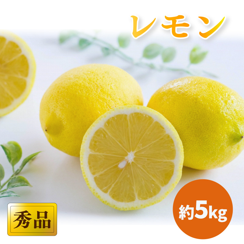 【2026年3月中旬頃から発送】 瀬戸内海の島レモン 秀品 5kg ｜ レモン 檸檬 れもん すっぱい 酸っぱい 中島のレモン 中島の檸檬 酸味 数量限定 期間限定 レモン 愛媛県産 減農薬 有機肥料使用 甘み 香り レモン 柑橘 松山市 レモン 中島 レモン 有機栽培 レモン 新鮮 レモン