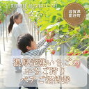 【ふるさと納税】いちご狩り　ペアご招待券 送料無料 有機 有機肥料 冷凍 いちご BJ04