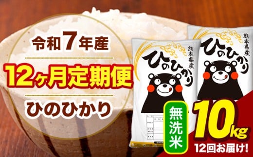 令和7年産 【12ヶ月定期便】  無洗米 米 ひのひかり 10kg《お申込月の翌月から出荷開始》熊本県 大津町 国産 熊本県産 無洗米 送料無料 ヒノヒカリ こめ お米