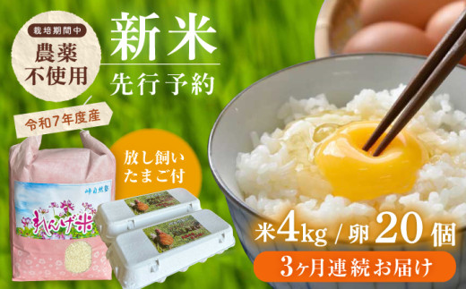 【全3回定期便】【令和7年度米】4kg・放し飼いたまご20個セット ヒノヒカリれんげ米 元気たまご【浅田峠自然塾】 [EA20]