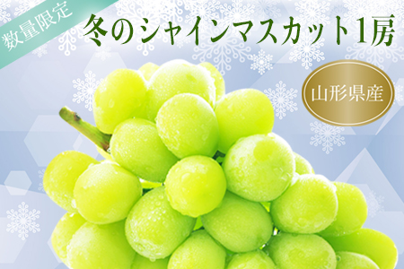 【2026年発送】冬の山形県産低温貯蔵シャインマスカット1房（約700～800g）_H067(R8)