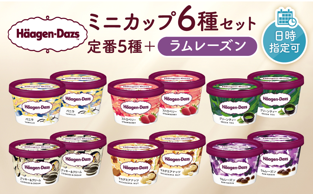ハーゲンダッツ『ミニカップ12個セット（定番フレーバー＆ラムレーズン味）』アイスクリーム アイス スイーツ デザート_H0016-113