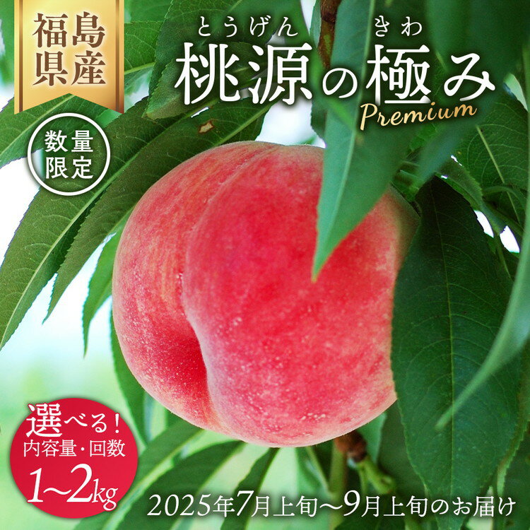 【ふるさと納税】【選べる容量・配送回数】◆2025年夏発送◆ 桃源の極み 〜産直・桃・約1kg 約2kg ※離島への配送不可 ※2025年7月上旬～9月上旬頃に順次発送予定｜先行予約 予約 桃 もも モモ 果物 くだもの フルーツ 詰め合わせ 福島 ふくしま