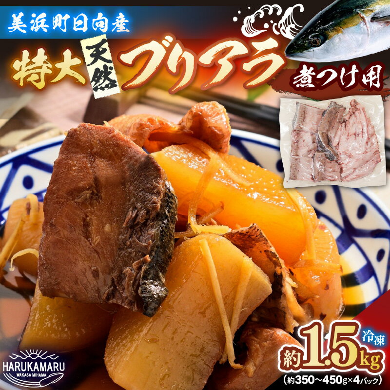 【ふるさと納税】【先行受付】天然 ぶり 特大 ブリアラ（煮付け用）合計 約1.5kg 【2026年5月下旬以降順次発送予定】美浜町日向産【ぶつ切り 切身 塩焼き 骨付き ブリ大根 煮物 アラ 鰤】